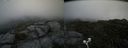 ./images/calvert/buxton2/20200728/buxton220200728_110503M.jpg