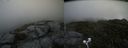 ./images/calvert/buxton2/20200728/buxton220200728_111003M.jpg