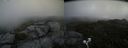 ./images/calvert/buxton2/20200728/buxton220200728_111503M.jpg