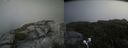 ./images/calvert/buxton2/20200731/buxton220200731_140503M.jpg