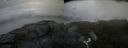 ./images/calvert/buxton2/20200802/buxton220200802_101503M.jpg