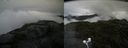 ./images/calvert/buxton2/20200802/buxton220200802_113503M.jpg