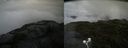 ./images/calvert/buxton2/20200802/buxton220200802_114503M.jpg