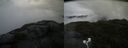 ./images/calvert/buxton2/20200802/buxton220200802_115003M.jpg