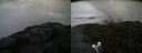 ./images/calvert/buxton2/20200802/buxton220200802_115503M.jpg