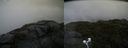 ./images/calvert/buxton2/20200802/buxton220200802_122503M.jpg