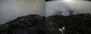 ./images/calvert/buxton2/20200802/buxton220200802_125503M.jpg