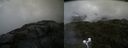 ./images/calvert/buxton2/20200802/buxton220200802_131003M.jpg