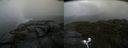 ./images/calvert/buxton2/20200802/buxton220200802_145503M.jpg