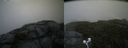 ./images/calvert/buxton2/20200803/buxton220200803_101503M.jpg