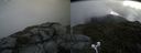 ./images/calvert/buxton2/20200803/buxton220200803_110502M.jpg