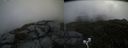 ./images/calvert/buxton2/20200803/buxton220200803_115503M.jpg