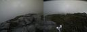./images/calvert/buxton2/20200803/buxton220200803_144003M.jpg
