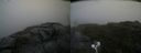 ./images/calvert/buxton2/20200805/buxton220200805_074003M.jpg
