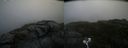 ./images/calvert/buxton2/20200805/buxton220200805_074503M.jpg