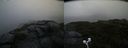 ./images/calvert/buxton2/20200805/buxton220200805_080003M.jpg