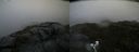 ./images/calvert/buxton2/20200805/buxton220200805_085502M.jpg