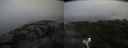 ./images/calvert/buxton2/20200805/buxton220200805_093503M.jpg