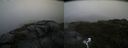 ./images/calvert/buxton2/20200805/buxton220200805_100004M.jpg