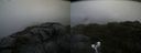 ./images/calvert/buxton2/20200805/buxton220200805_102002M.jpg