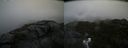 ./images/calvert/buxton2/20200805/buxton220200805_103502M.jpg