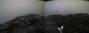 ./images/calvert/buxton2/20200805/buxton220200805_105502M.jpg
