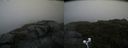 ./images/calvert/buxton2/20200805/buxton220200805_110503M.jpg