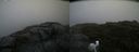 ./images/calvert/buxton2/20200805/buxton220200805_111003M.jpg