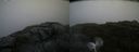 ./images/calvert/buxton2/20200805/buxton220200805_112003M.jpg