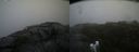 ./images/calvert/buxton2/20200805/buxton220200805_115003M.jpg