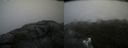 ./images/calvert/buxton2/20200805/buxton220200805_115503M.jpg