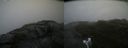 ./images/calvert/buxton2/20200805/buxton220200805_124503M.jpg