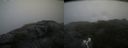 ./images/calvert/buxton2/20200805/buxton220200805_132003M.jpg