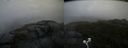 ./images/calvert/buxton2/20200805/buxton220200805_171003M.jpg