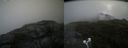 ./images/calvert/buxton2/20200805/buxton220200805_185003M.jpg