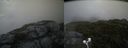 ./images/calvert/buxton2/20200805/buxton220200805_202003M.jpg