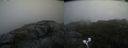 ./images/calvert/buxton2/20200806/buxton220200806_131003M.jpg