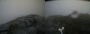 ./images/calvert/buxton2/20200806/buxton220200806_141003M.jpg