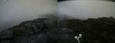 ./images/calvert/buxton2/20200806/buxton220200806_182503M.jpg