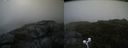 ./images/calvert/buxton2/20200806/buxton220200806_202002M.jpg