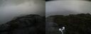 ./images/calvert/buxton2/20200807/buxton220200807_112003M.jpg