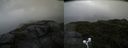 ./images/calvert/buxton2/20200807/buxton220200807_113503M.jpg