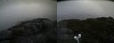 ./images/calvert/buxton2/20200807/buxton220200807_115503M.jpg