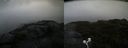 ./images/calvert/buxton2/20200807/buxton220200807_125002M.jpg