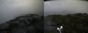 ./images/calvert/buxton2/20200807/buxton220200807_125502M.jpg