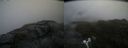 ./images/calvert/buxton2/20200807/buxton220200807_154503M.jpg