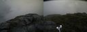 ./images/calvert/buxton2/20200808/buxton220200808_101503M.jpg