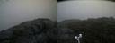 ./images/calvert/buxton2/20200808/buxton220200808_104503M.jpg