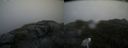 ./images/calvert/buxton2/20200809/buxton220200809_185002M.jpg