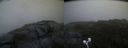 ./images/calvert/buxton2/20200809/buxton220200809_205502M.jpg